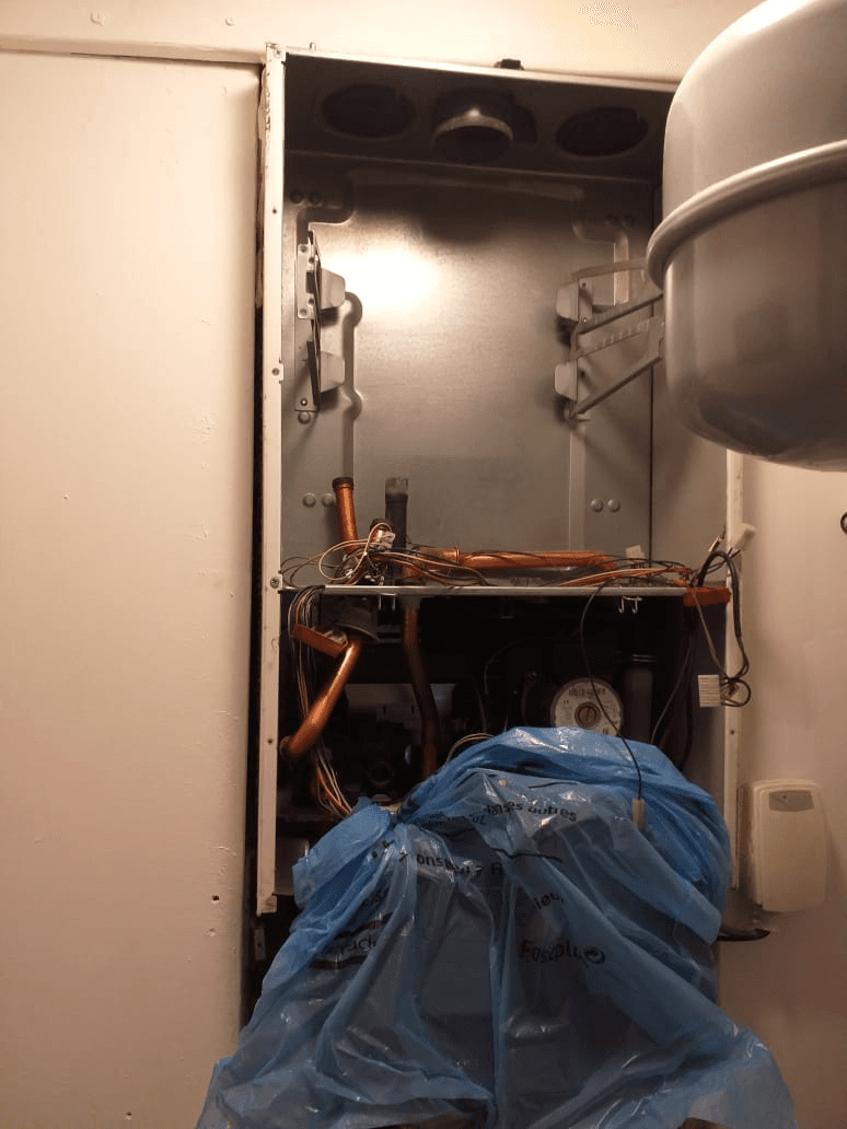 Descriptive Alt Text