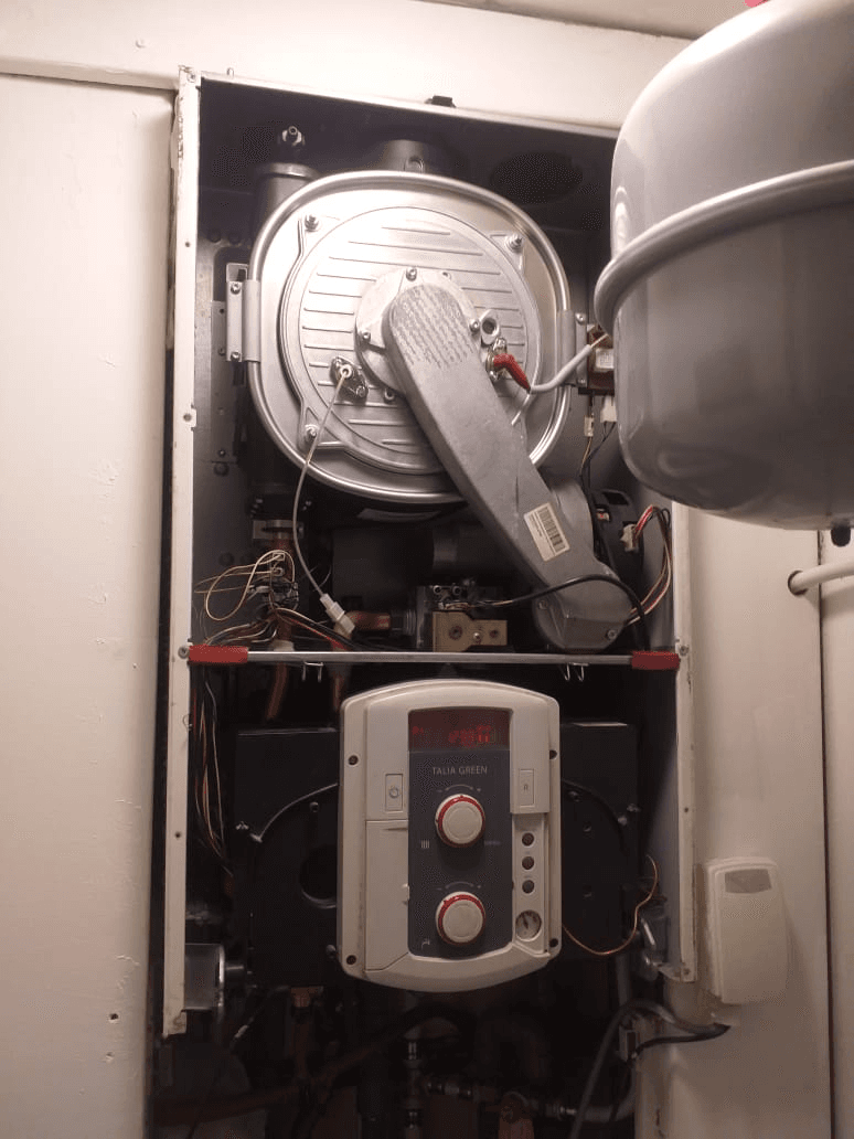 Descriptive Alt Text