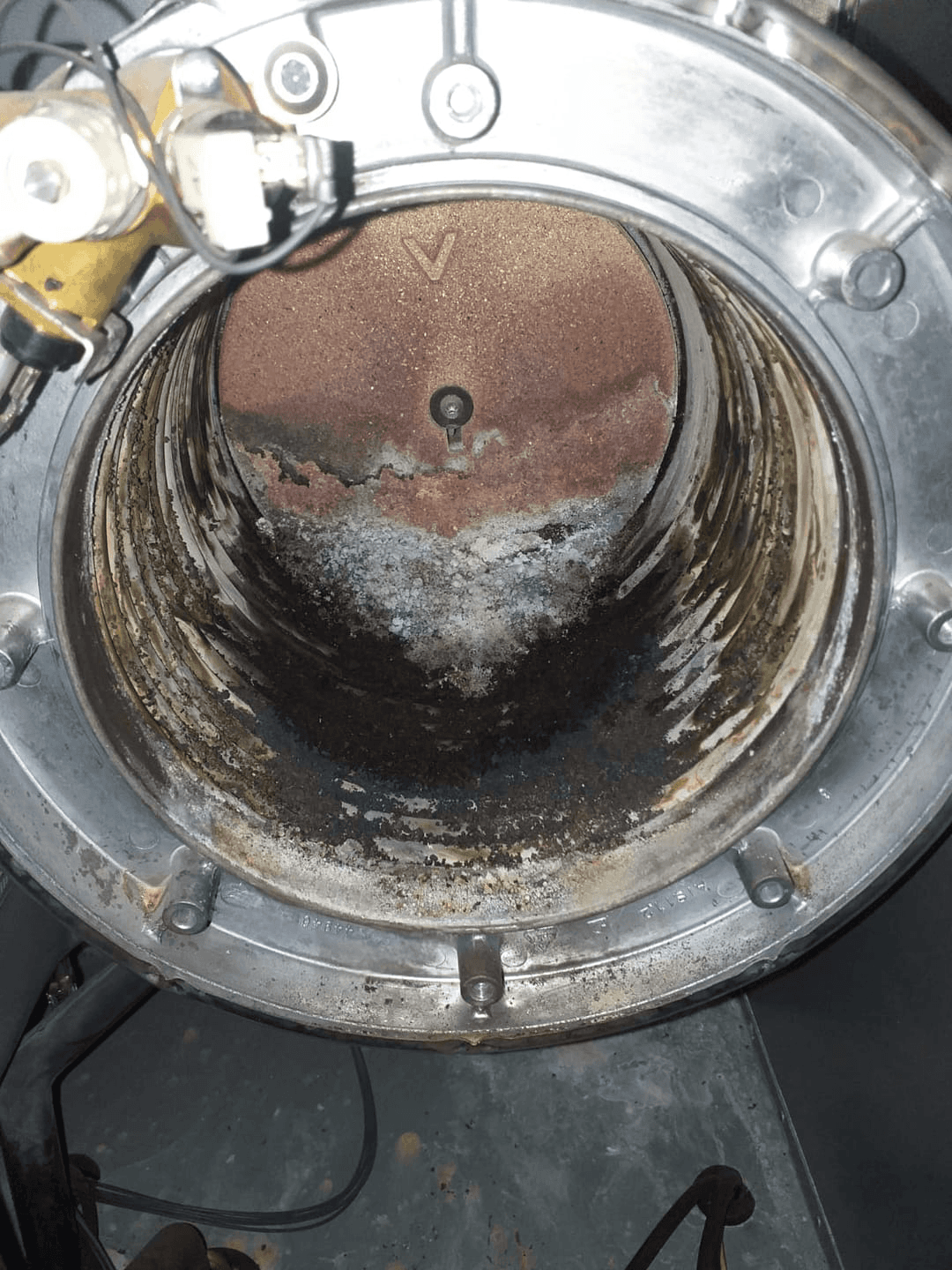 Descriptive Alt Text