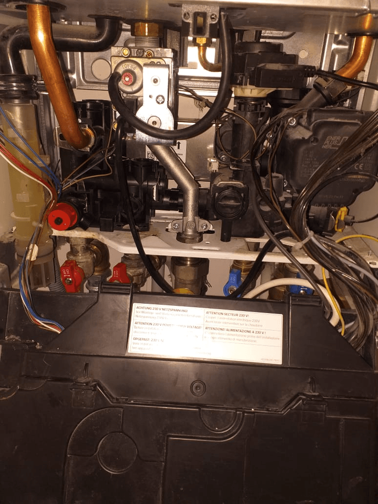 Descriptive Alt Text